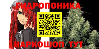 прущий лед Будённовск