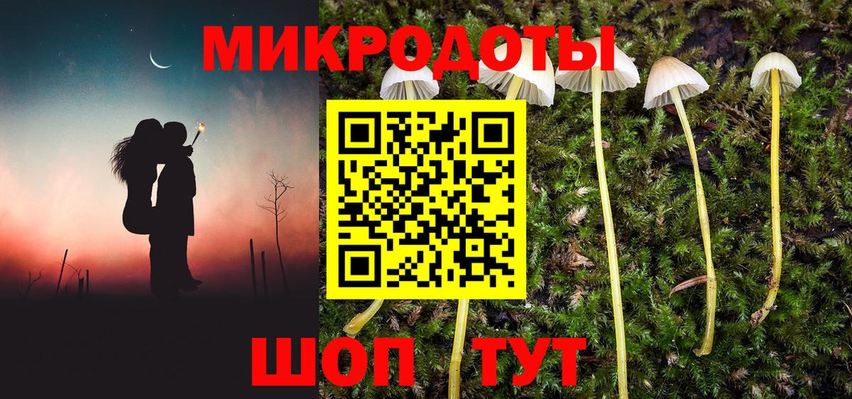 Псилоцибиновые грибы Cubensis Спасск-Дальний